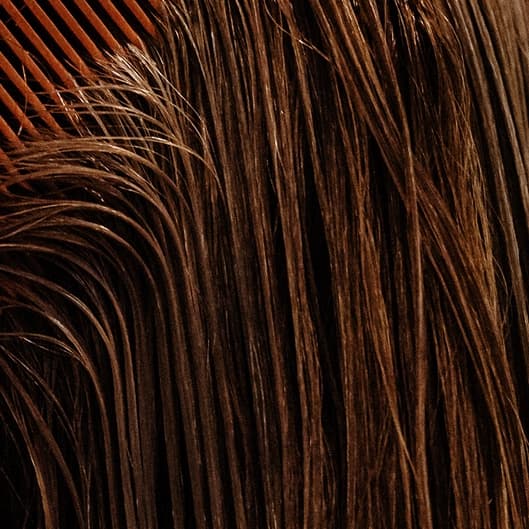 Long Blowout at Skye Lily Hair in Edwards, CO